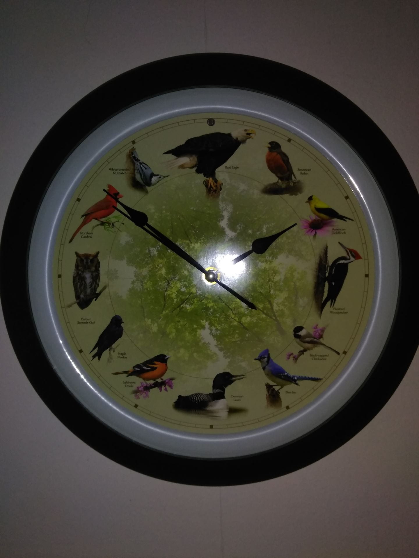 Quasi Random Tangent:  My Misadventures with the Singing Bird Clock