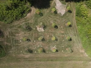 BCC Orchard from Above
